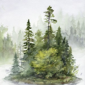 Мульти-арт курс 