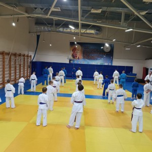 КУДО (рукопашный бой) KUDO JUNIOR