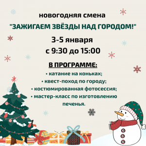 Новогодняя смена 