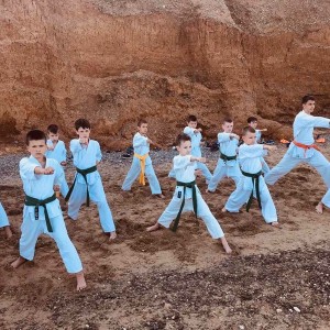 Карате-до шотокан