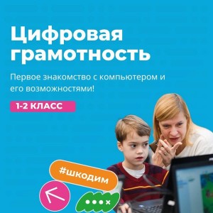 Цифровая грамотность