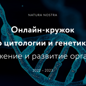 Онлайн-кружок по цитологии и генетике