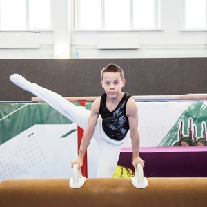 Школа Спортивной Гимнастики «Ополченец»