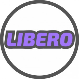 Волейбольная школа LIBERO