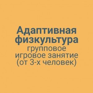 Адаптивная физкультура групповое игровое занятие (от 3-х человек)