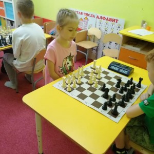 Шахматы