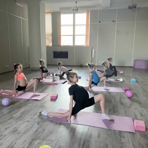 Высшая школа художественной гимнастики