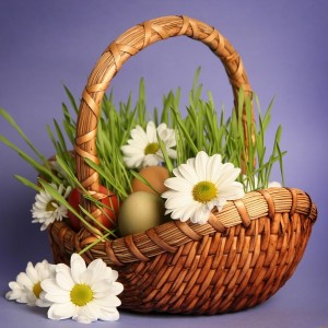 Флористическая мозаика