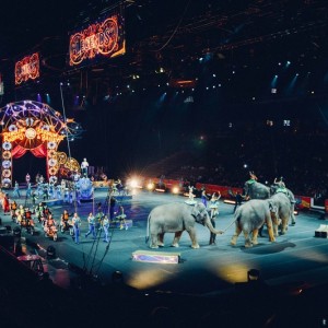 Детская цирковая студия