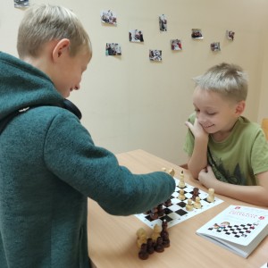 Шахматная секция