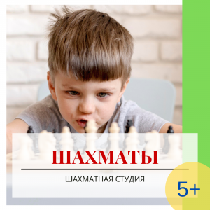 Шахматы