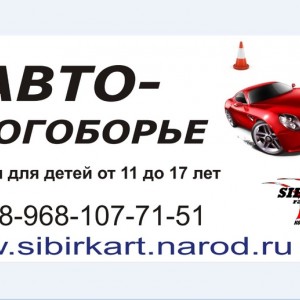 Автомногоборье