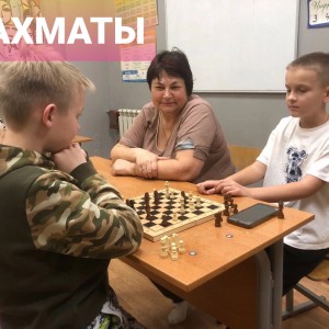 Шахматы