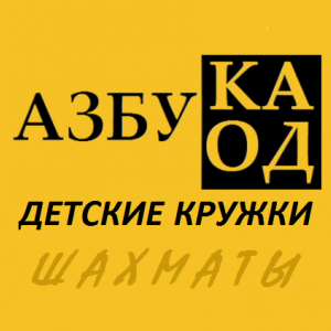 Шахматный кружок