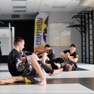 MMA/боевое самбо для детей и взрослых