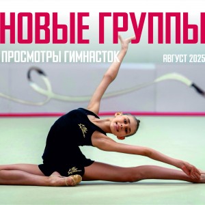 Художественная гимнастика на Тимирязевской