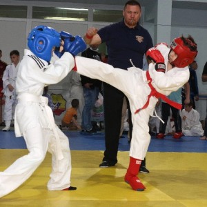 Рукопашный Бой