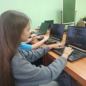 Разработчик сайтов