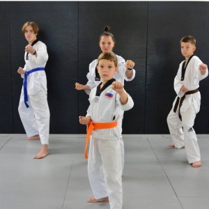 Тхэквондо ВТ