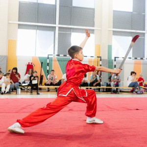 Секция ушу для детей в центре