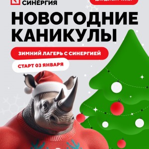 Зимний ИТ-клуб от Академии Синергия