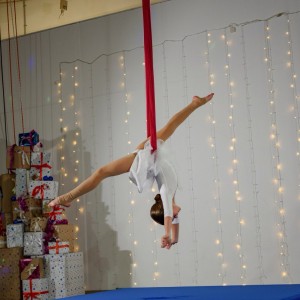 Детская группа по воздушной гимнастике