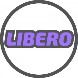 Волейбольная школа Libero