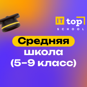 Top IT School : средняя школа 5-11 класс