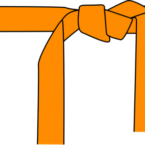Дзюдо