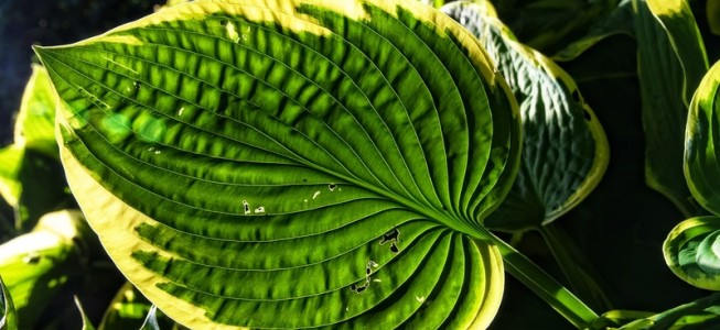blog-post image