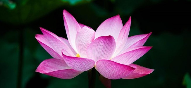 blog-post image