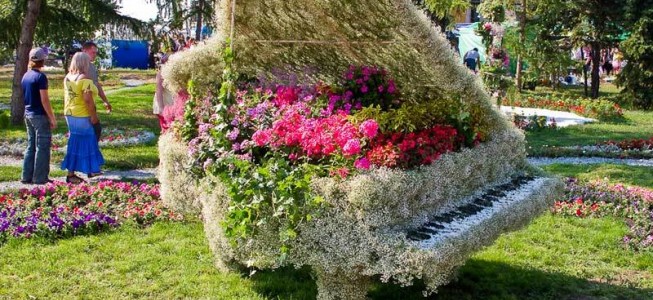 blog-post image