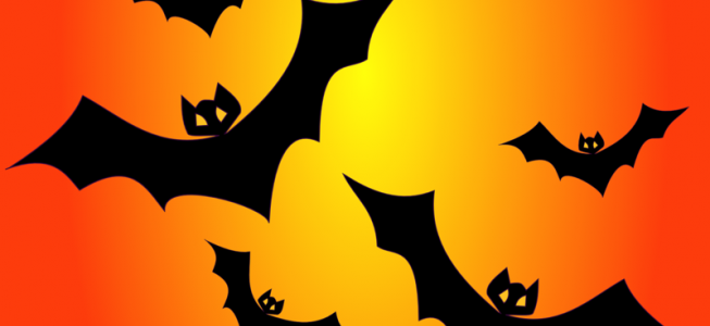 blog-post image