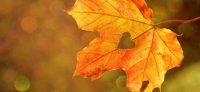blog-post image