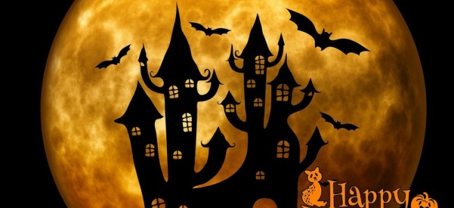 blog-post image