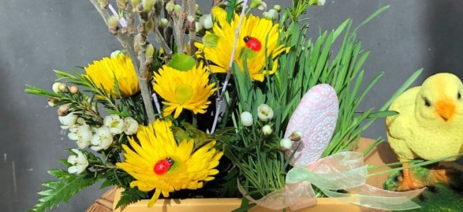 blog-post image