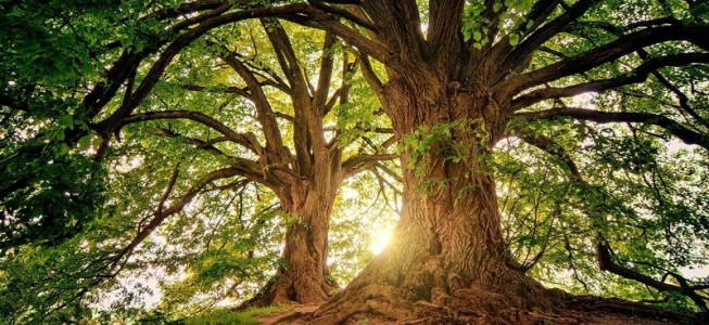 blog-post image