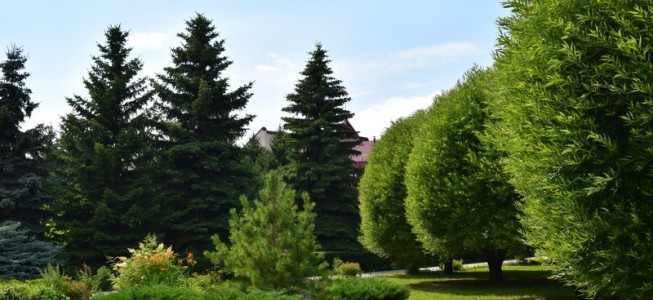 blog-post image