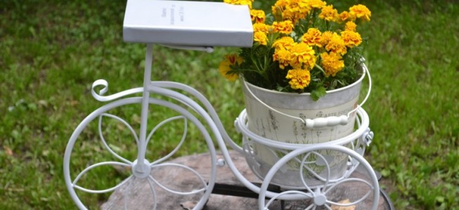 blog-post image