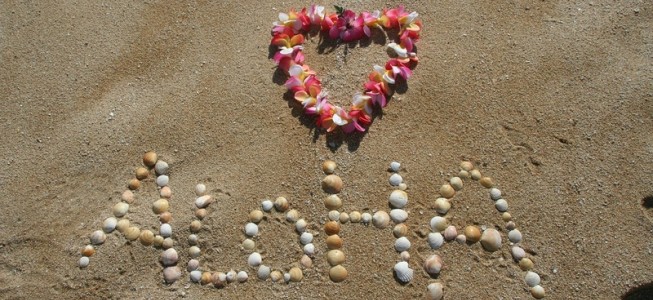 blog-post image
