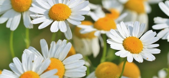 blog-post image