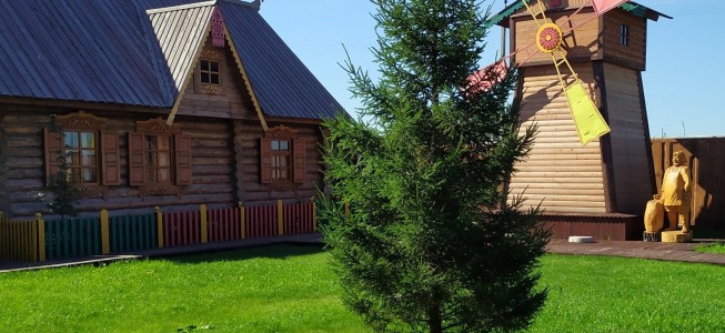 blog-post image