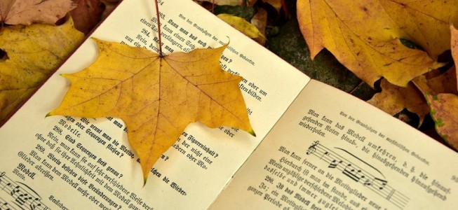 blog-post image