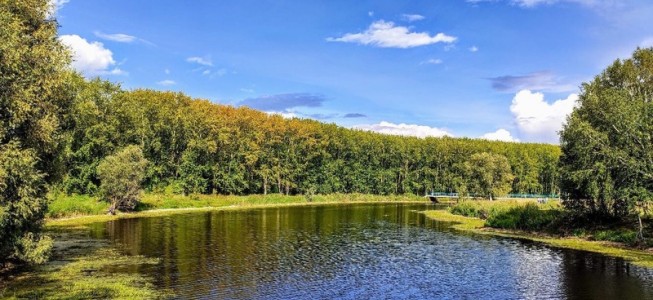 blog-post image