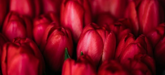 blog-post image