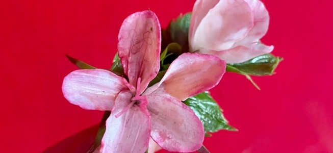 blog-post image