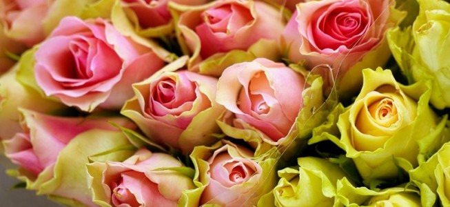 blog-post image