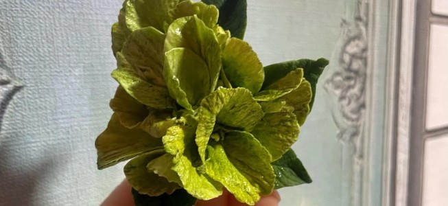 blog-post image
