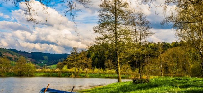 blog-post image