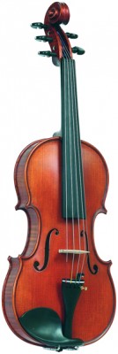 ФЛЕЙТА, Фортепиано, СКРИПКА, ГИТАРА, БАЯН, АККОРДЕОН, ДОМБРА